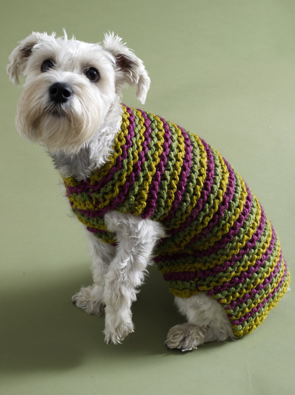 Bernat free dog sweater patterns crochet